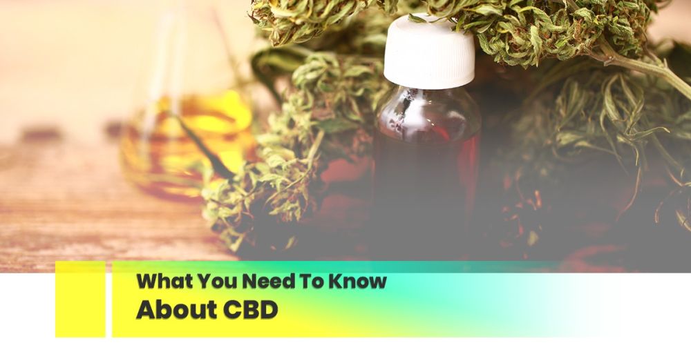 Blog post, What You Need To Know about CBD